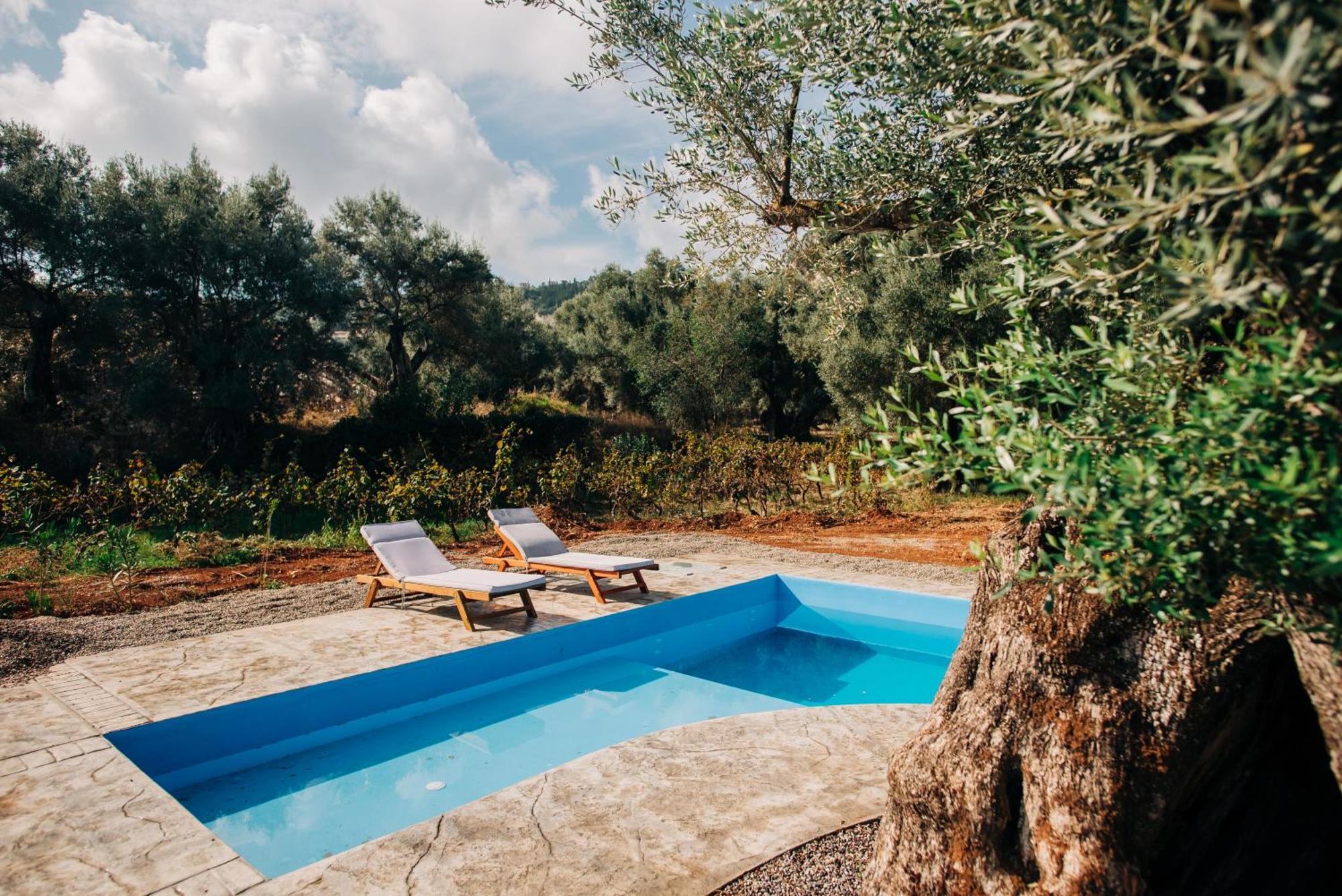 Villa Di Vino Apólpena Kültér fotó